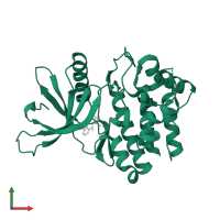 Tyrosine-protein kinase JAK3 in PDB entry 3lxk, assembly 1, front view.