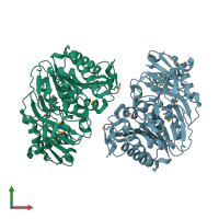 PDB entry 3lxq coloured by chain, front view.