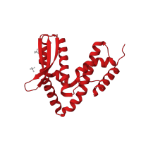 The deposited structure of PDB entry 3lxr contains 1 copy of CATH domain 1.10.4120.20 (SopE-like GEF fold) in IpgB2, probably secreted by the Mxi-Spa secretion machinery. Showing 1 copy in chain B [auth F].