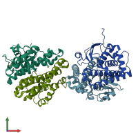 PDB entry 3lxt coloured by chain, front view.