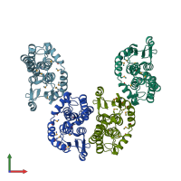 PDB entry 3lxz coloured by chain, front view.