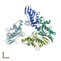PDB entry 3lyb coloured by chain, front view.