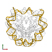 DNA (145-MER) in PDB entry 3lz0, assembly 1, front view.