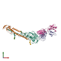PDB entry 3lzf coloured by chain, front view.