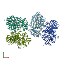 PDB entry 3m13 coloured by chain, front view.