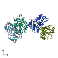 PDB entry 3m1y coloured by chain, front view.