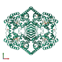 Homo tetrameric assembly 1 of PDB entry 3m2t coloured by chemically distinct molecules, front view.