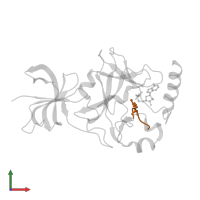 Transcription initiation factor TFIID subunit 10 in PDB entry 3m56, assembly 1, front view.