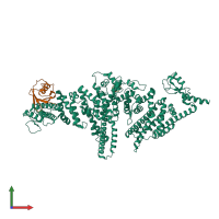 PDB entry 3m62 coloured by chain, front view.