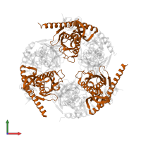 Exosome complex component Rrp41 in PDB entry 3m7n, assembly 1, front view.