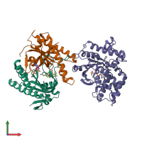 PDB entry 3maa coloured by chain, front view.