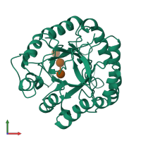 PDB entry 3man coloured by chain, front view.