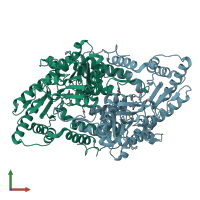 PDB entry 3mbb coloured by chain, front view.