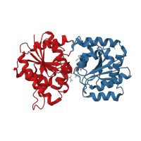 The deposited structure of PDB entry 3mbo contains 16 copies of CATH domain 3.40.50.2000 (Rossmann fold) in N-acetyl-alpha-D-glucosaminyl L-malate synthase. Showing 2 copies in chain E.