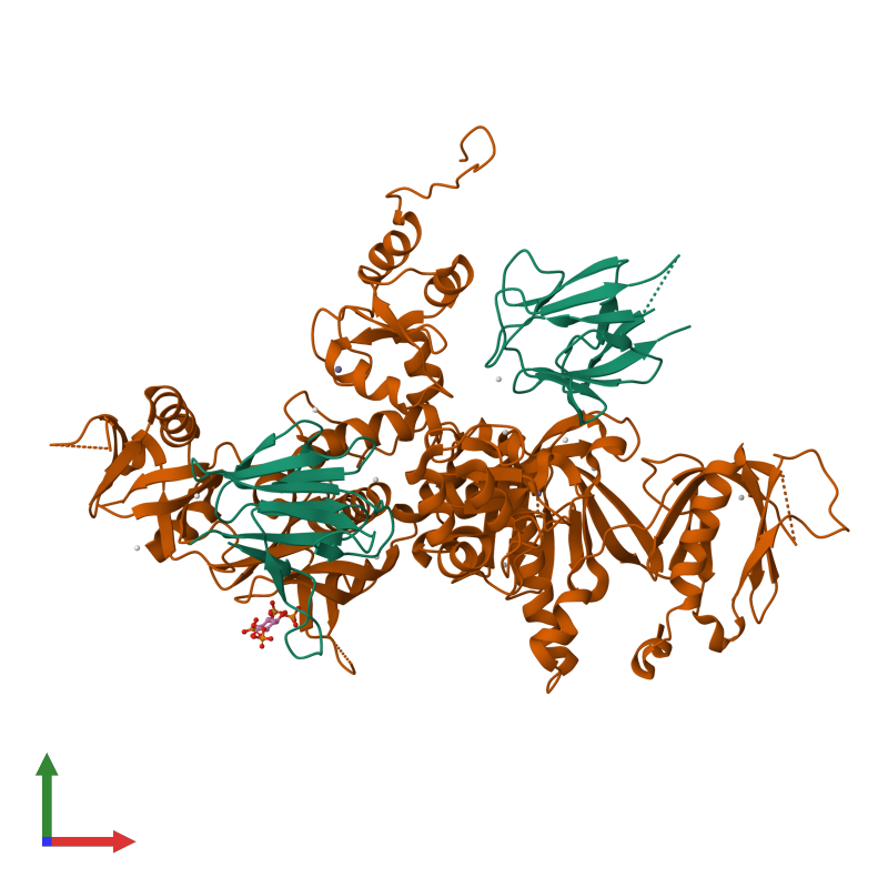 <div class='caption-body'><ul class ='image_legend_ul'>The deposited structure of PDB entry 3mdb coloured by chemically distinct molecules and viewed from the front. The entry contains: <li class ='image_legend_li'>2 copies of Kinesin-like protein KIF13B</li> <li class ='image_legend_li'>2 copies of Arf-GAP with dual PH domain-containing protein 1</li><li class ='image_legend_li'>[]<ul class ='image_legend_ul'><li class ='image_legend_li'>11 copies of UNKNOWN ATOM OR ION</li> <li class ='image_legend_li'>2 copies of ZINC ION</li> <li class ='image_legend_li'>1 copy of (2R)-3-{[(R)-{[(1S,2S,3R,4S,5S,6S)-2,6-dihydroxy-3,4,5-tris(phosphonooxy)cyclohexyl]oxy}(hydroxy)phosphoryl]oxy}propane-1,2-diyl dioctanoate</li></ul></li></div>