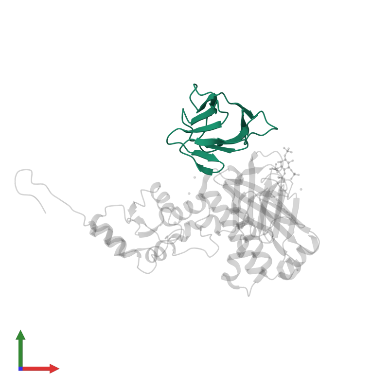 <div class='caption-body'>PDB entry 3mdb contains 1 copy of Kinesin-like protein KIF13B in assembly 1. This protein is highlighted and viewed from the front.</div>