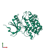 Peripheral plasma membrane protein CASK in PDB entry 3mfs, assembly 1, front view.