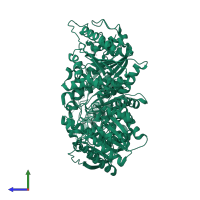 Arginase-1 in PDB entry 3mfv, assembly 1, side view.