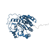 The deposited structure of PDB entry 3mfw contains 2 copies of Pfam domain PF00491 (Arginase family) in Arginase-1. Showing 1 copy in chain A.