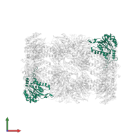 Proteasome subunit alpha type-2 in PDB entry 3mg0, assembly 1, front view.