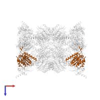 Proteasome subunit alpha type-3 in PDB entry 3mg0, assembly 1, top view.