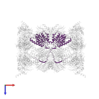 Proteasome subunit beta type-2 in PDB entry 3mg0, assembly 1, top view.