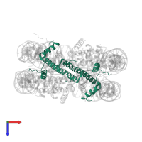Histone H3.2 in PDB entry 3mgq, assembly 1, top view.