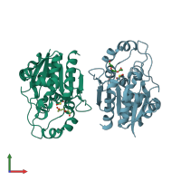 PDB entry 3mii coloured by chain, front view.