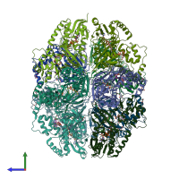 PDB entry 3mj4 coloured by chain, side view.