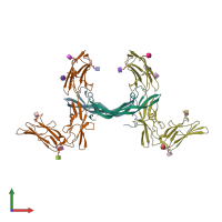 PDB entry 3mjg coloured by chain, front view.