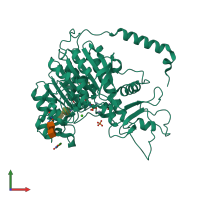 PDB entry 3mk0 coloured by chain, front view.