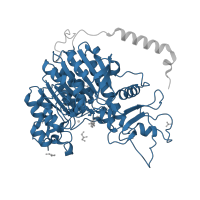 The deposited structure of PDB entry 3mk2 contains 1 copy of Pfam domain PF00245 (Alkaline phosphatase) in Alkaline phosphatase, placental type. Showing 1 copy in chain A.