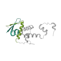 The deposited structure of PDB entry 3mks contains 4 copies of Pfam domain PF03931 (Skp1 family, tetramerisation domain) in Suppressor of kinetochore protein 1. Showing 2 copies in chain A.