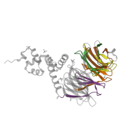 The deposited structure of PDB entry 3mks contains 10 copies of Pfam domain PF00400 (WD domain, G-beta repeat) in Cell division control protein 4. Showing 5 copies in chain D.