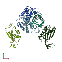 PDB entry 3mlc coloured by chain, front view.