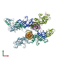 PDB entry 3mlp coloured by chain, front view.