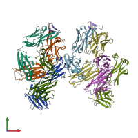 PDB entry 3mlt coloured by chain, front view.