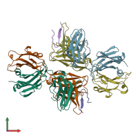 PDB entry 3mlx coloured by chain, front view.