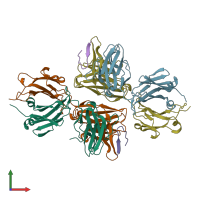 PDB entry 3mly coloured by chain, front view.