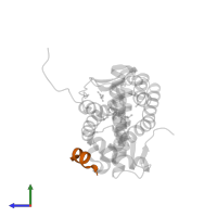 Nuclear receptor coactivator 2 in PDB entry 3mnp, assembly 1, side view.