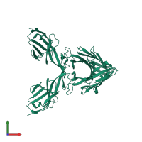 Homo tetrameric assembly 5 of PDB entry 3moq coloured by chemically distinct molecules, front view.