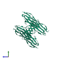 Homo tetrameric assembly 5 of PDB entry 3moq coloured by chemically distinct molecules, side view.