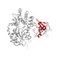 The deposited structure of PDB entry 3mp1 contains 1 copy of CATH domain 2.30.30.140 (SH3 type barrels.) in Maltose/maltodextrin-binding periplasmic protein. Showing 1 copy in chain A.