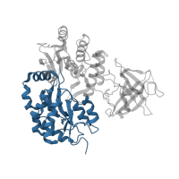 The deposited structure of PDB entry 3mp1 contains 1 copy of CATH domain 3.40.190.10 (D-Maltodextrin-Binding Protein; domain 2) in Maltose/maltodextrin-binding periplasmic protein. Showing 1 copy in chain A.