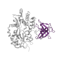 The deposited structure of PDB entry 3mp1 contains 1 copy of Pfam domain PF07039 (SGF29 tudor-like domain) in Maltose/maltodextrin-binding periplasmic protein. Showing 1 copy in chain A.