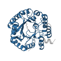 The deposited structure of PDB entry 3mp3 contains 6 copies of Pfam domain PF00682 (HMGL-like) in Hydroxymethylglutaryl-CoA lyase, mitochondrial. Showing 1 copy in chain A.