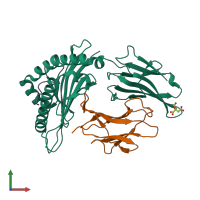 PDB entry 3mrg coloured by chain, front view.