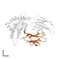 Beta-2-microglobulin in PDB entry 3mrh, assembly 1, front view.