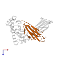 Beta-2-microglobulin in PDB entry 3mrq, assembly 1, top view.