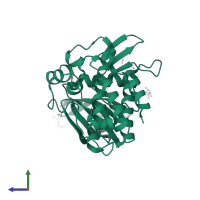 Activin receptor type-1 in PDB entry 3mtf, assembly 2, side view.